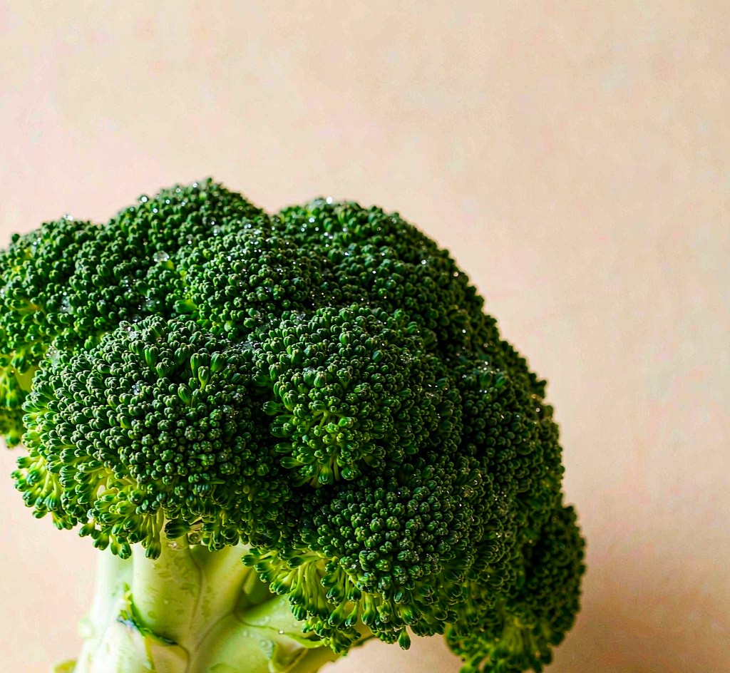 带水珠的深绿色西兰花主花球